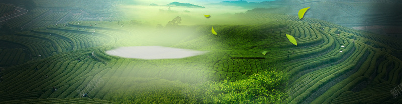 茶叶绿茶小清新绿色海报背景背景