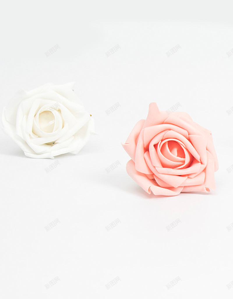 白色背景下的玫瑰花H5背景jpg设计背景_88icon https://88icon.com 玫瑰花 话 粉色玫瑰 白色背景 开心 文艺 小清新 简约