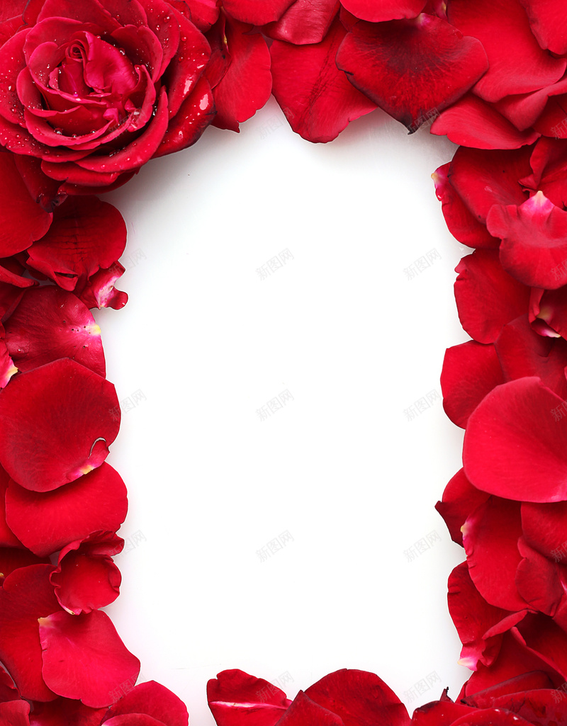 红色玫瑰花框jpg设计背景_88icon https://88icon.com PPT 玫瑰 玫瑰花线框 红色 花框