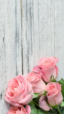 粉色鲜花花朵H5背景背景