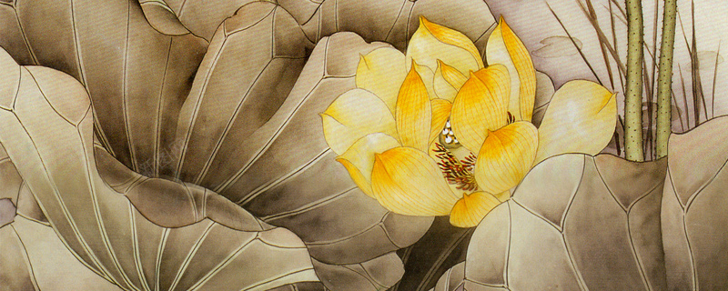 工笔画荷花网站背景图psd设计背景_88icon https://88icon.com 海报banner 网站背景图 中国风 工笔画 荷花