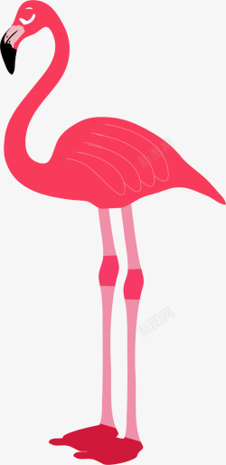 粉红色火烈鸟png素材