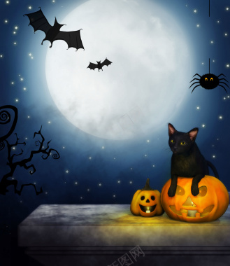 月色下的黑猫万圣节海报背景psd背景