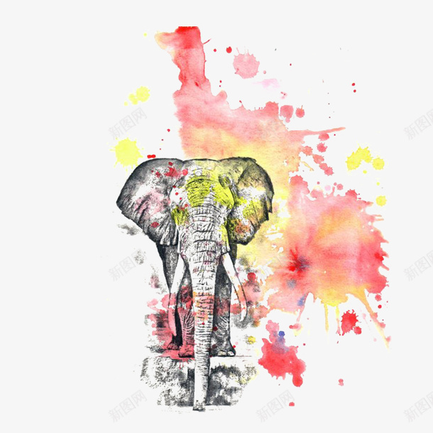 彩色的水墨大象效果图png免抠素材_88icon https://88icon.com 彩色大象 水彩大象 手绘大象 动物 大象 装饰图 免抠图 装饰画 效果图