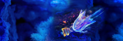 水母免扣PNG图梦幻海底背景高清图片