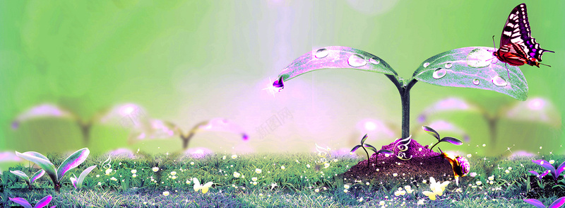 发芽蝴蝶背景jpg设计背景_88icon https://88icon.com 发芽 蝴蝶 全屏促销海报背景 横幅背景 全屏banner 海报banner 摄影 风景