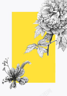 手绘铅笔画花卉封面背景素材背景
