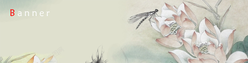 工笔画荷花蜻蜓淘宝网站背景图背景