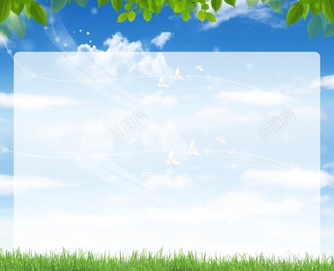 清新蓝天白天绿叶展览栏平面广告背景
