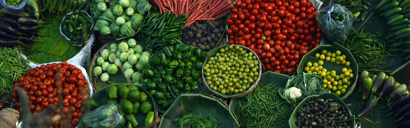 清新果蔬背景jpg设计背景_88icon https://88icon.com 轮播图背景 全屏背景 banner 海报banner 文艺 小清新 简约