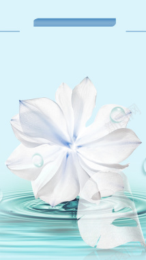 白色花朵梦幻水珠H5背景背景