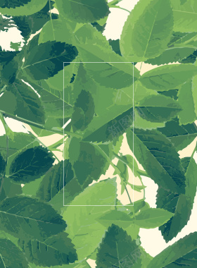 自然绿叶背景美容化妆品海报背景材料背景