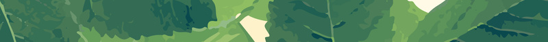 自然绿叶背景美容化妆品海报背景材料eps设计背景_88icon https://88icon.com 自然 美容海报 美容化妆品 自然背景 绿叶 绿叶背景 线框 绿色 背景材料