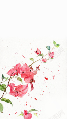 水彩花卉背景背景