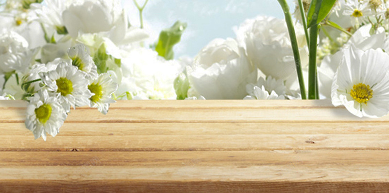 白色茉莉花H5背景jpg设计背景_88icon https://88icon.com 唯美 文艺 梦幻 浪漫 简约 H5背景 小清新 白色 茉莉花 茉莉花背景