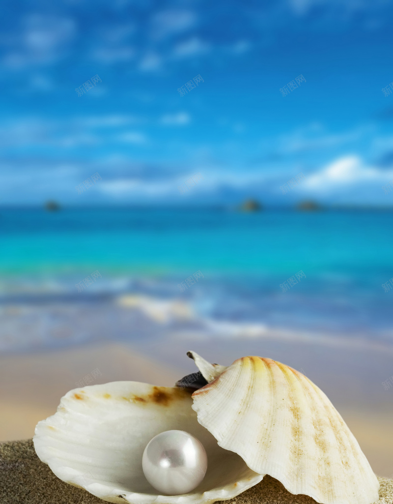海边贝壳里的珍珠背景jpg设计背景_88icon https://88icon.com 浪漫 海边 珍珠 蓝色 贝壳 梦幻