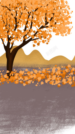 大树黄叶24节气秋分立秋秋天秋季传统节高清图片