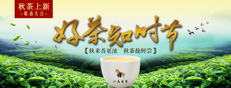 绿色清新好茶知时节宣传海报背景