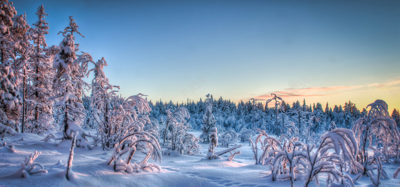 雪乡雪天下雪天浪漫白色海报背景jpg设计背景_88icon https://88icon.com 下雪天 浪漫 白色 雪乡 雪天 冬季 植物 松树 唯美 粉色 白云 云彩 夕阳