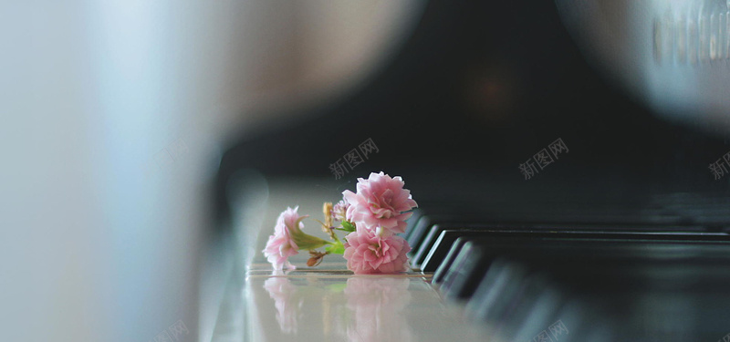 钢琴上的小花背景图背景