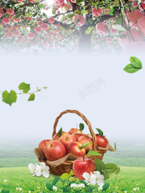 时尚清新秋季苹果促销海报背景素材背景