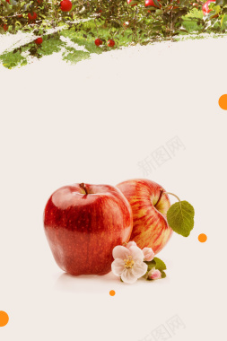 绿色食品水果苹果展板海报背景