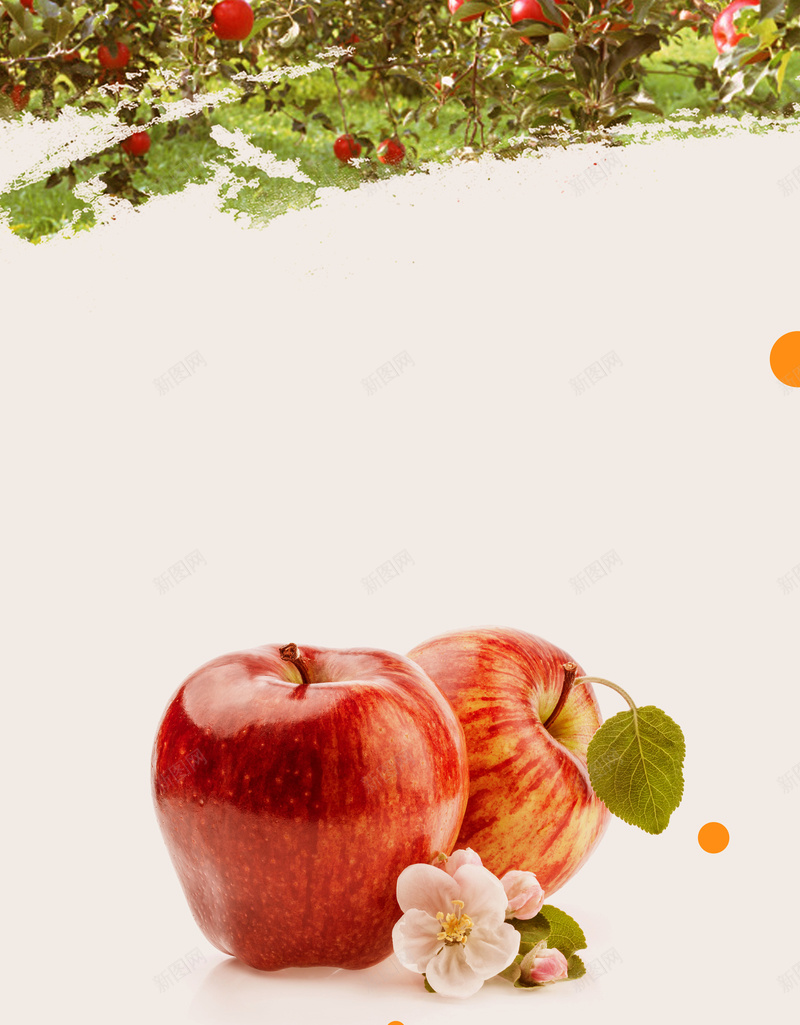 绿色食品水果苹果展板海报psd设计背景_88icon https://88icon.com 手绘水果 水彩苹果 水果海报 苹果海报 水果 精品水果 苹果 绿色水果