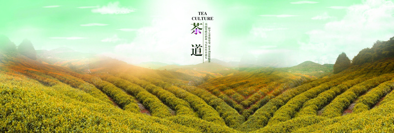 梦幻茶山背景psd设计背景_88icon https://88icon.com 天空背景 山村背景 梦幻背景 绿化背景 茶山背景 叶子背景 田野背景 海报背景 活动背景 海报banner 浪漫 梦幻