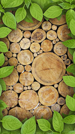 环保木材树木绿叶展示H5背景图高清图片