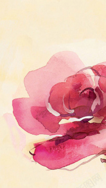 手绘粉色花朵H5背景素材背景