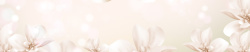 婚姻海报素雅花朵背景高清图片