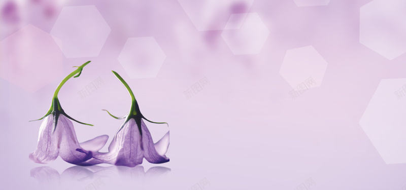 紫色梦幻花朵背景背景