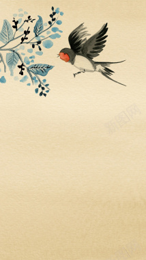 亚洲花鸟羊皮纸背景