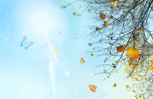 秋天色彩海报背景素材背景