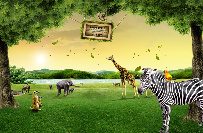 草地上野生动物jpg设计背景_88icon https://88icon.com 动物 大树 斑马 落叶 飘落 长颈鹿 鹦鹉 大象 马