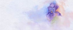 鲜花详情紫色手绘花朵背景高清图片