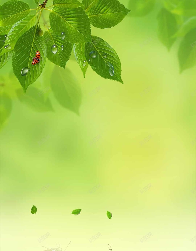 绿色植物发芽水珠小清新H5背景psd设计背景_88icon https://88icon.com 小清新 发芽 植物 水珠 绿色 H5 文艺 简约