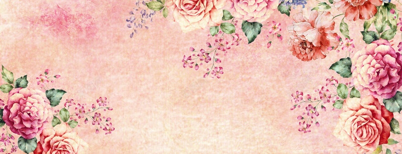 手绘水彩花卉牡丹背景背景