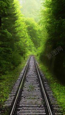 铁轨通向森林H5背景素材背景