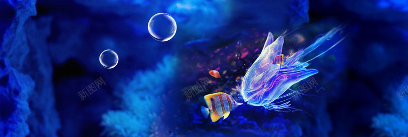 海洋梦幻鱼背景bannerpsd设计背景_88icon https://88icon.com anner 梦幻 海洋 背景 鱼 banner 气泡 海报banner 浪漫