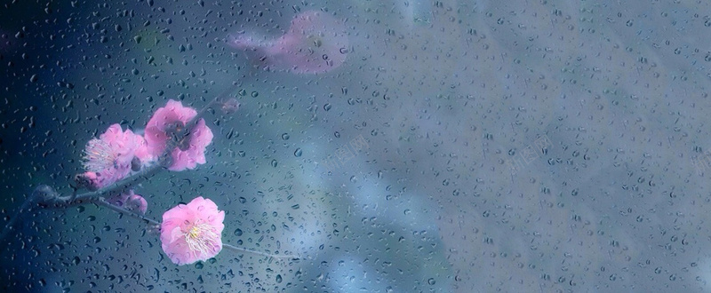 唯美雨中花jpg设计背景_88icon https://88icon.com 下雨 唯美 玻璃 简约 花 窗外 海报banner 浪漫 梦幻