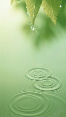 绿色树叶水纹H5背景素材背景