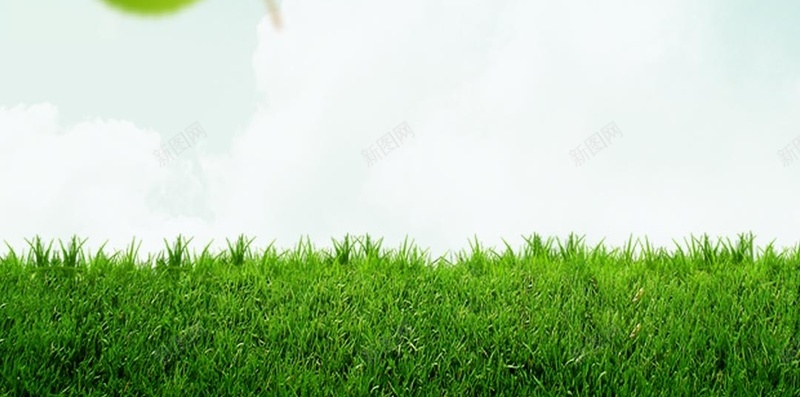 蓝天白云绿地源文件H5背景psd设计背景_88icon https://88icon.com 源文件 白云 绿叶 绿地 蓝天 H5背景 小清新 阳光 植树节 踏青 春天 蓝天白云 绿地蓝天