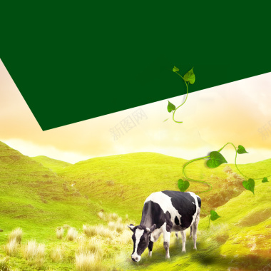 绿色草地风景奶制品PSD分层主图背景素材背景