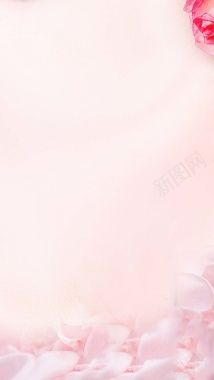 粉色浪漫花朵玫瑰PSD分层H5背景素材背景