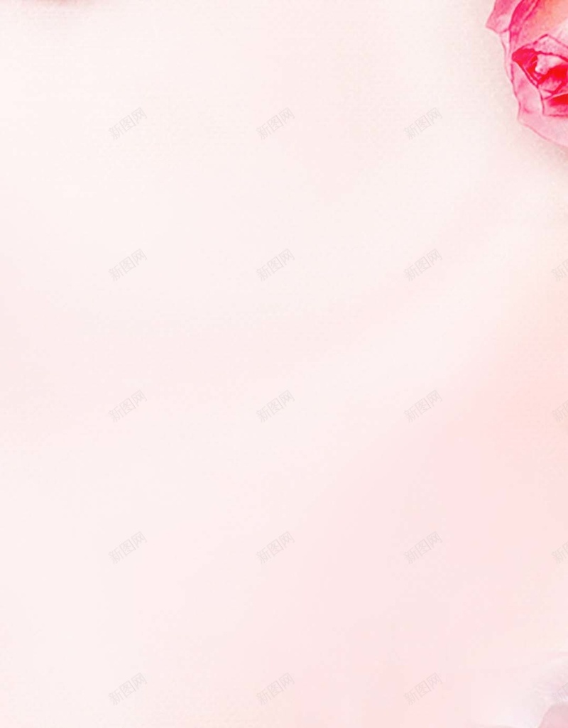 粉色浪漫花朵玫瑰PSD分层H5背景素材psd设计背景_88icon https://88icon.com 新品 服饰 浪漫 粉色 花朵 上市 活动 玫瑰PSD分层H5背景素材