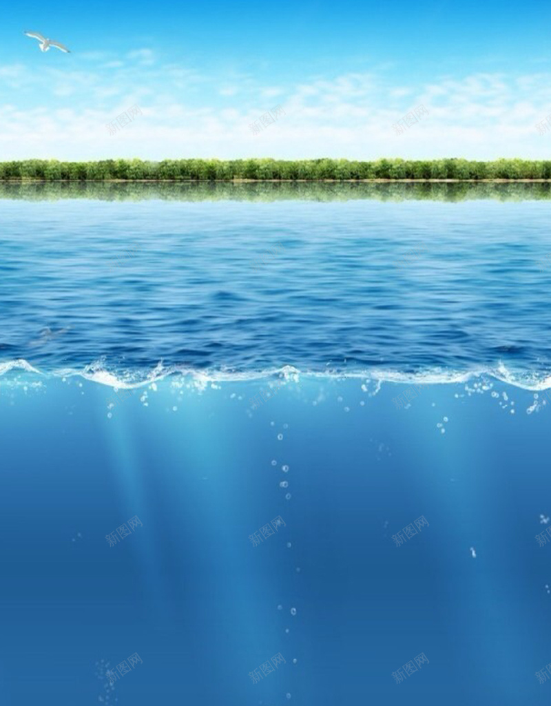 湖水下面的鱼H5素材背景jpg设计背景_88icon https://88icon.com 蓝色背景 光线 动物 海水 鱼 海底 H5素材 清新 气泡