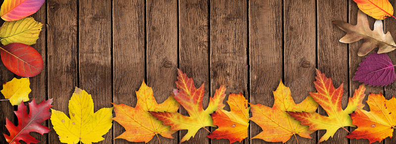 秋季木地板上落叶背景