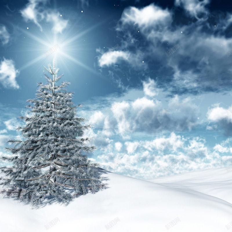 冬季云朵松树背景jpg设计背景_88icon https://88icon.com 冬季 云朵 云 松树 雪 天空 圣诞 风景 主图 摄影