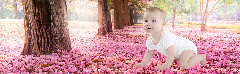 妇婴用品唯美春季花朵海报图片背景